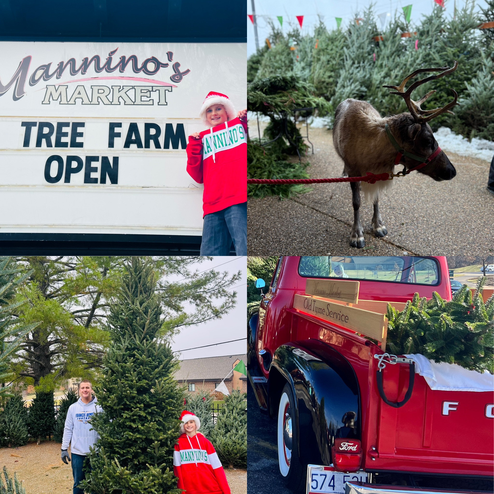 St. charles, Mo tree lot