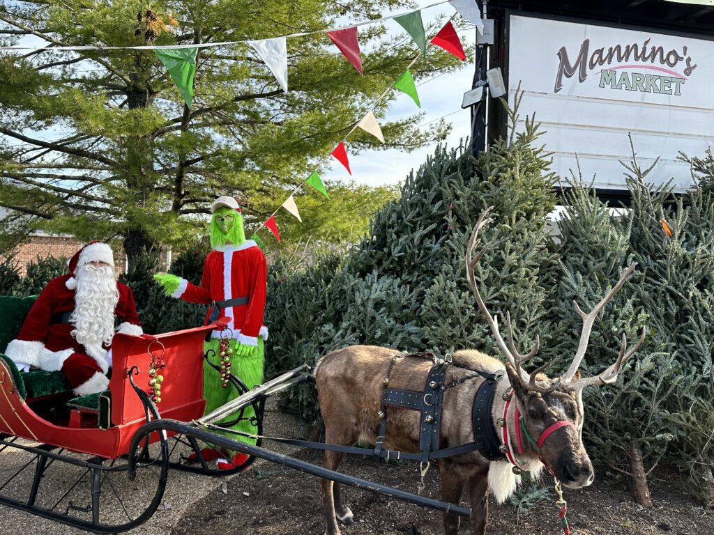 Christmas tree lot in St. Charles, Mo